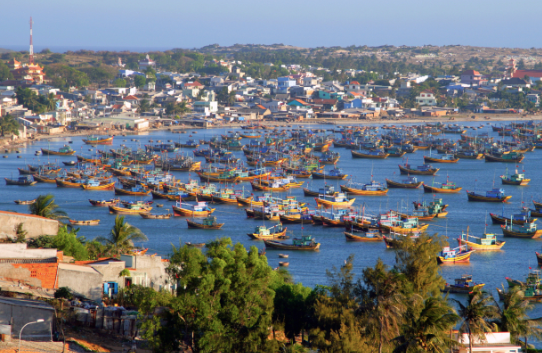 Port Sudden Disruption Alert: How Can International Logistics Build "Non-Fragile" Supply Chains?