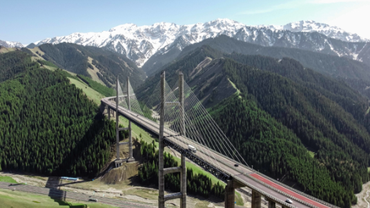 Dialogue on the Silk Road Again: China-Turkey Economic and Trade Forum Sounds Strong Note of Cooperation, International Logistics Welcomes New Opportunities on the Eurasia Land Bridge