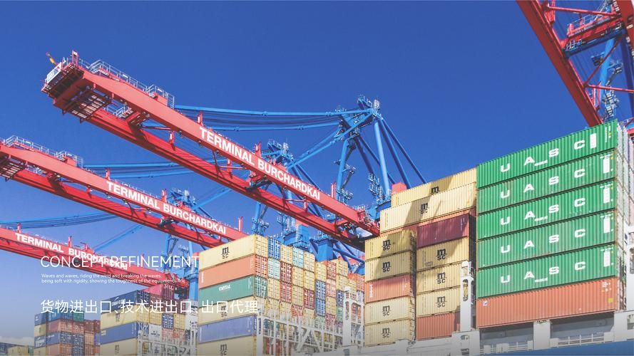 逆市上扬的秘密：奈李解码美西港口货量与运价的“背离”现象