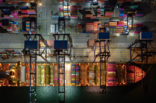 The Halted Scanner Reveals the Truth: The Fragility of International Logistics and Building Digital Resilience