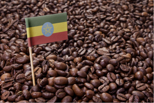 China-Ethiopia Coffee Conference: How Can Logistics Companies Scent New Silk Road Opportunities from the 'Aroma of Beans'?