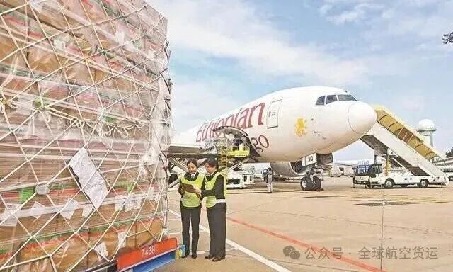 BRICS Air Corridor Marks Third Anniversary: 46,500 Tonnes of Cargo, 47 Million Parcels, China-Brazil E-Commerce Air Bridge Accelerates