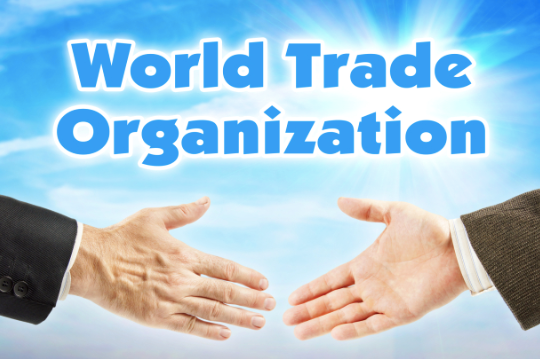 Opportunities in the Reshaping of Rules: Profound Insights from the WTO Ruling Against the US IRA for the International Logistics Industry
