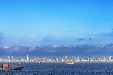 Behind Dalian Port's "Strong Start": The Upgrade and New Opportunities of an International Logistics Hub