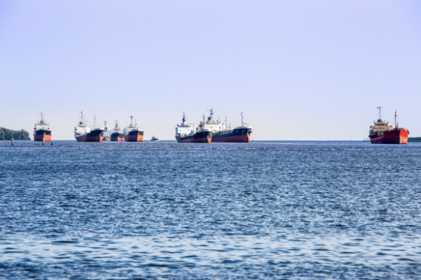 Wenaili 2026 Insights: Australia-New Zealand Shipping Route — A Critical Leap for SMEs in the "Certainty" Blue Ocean